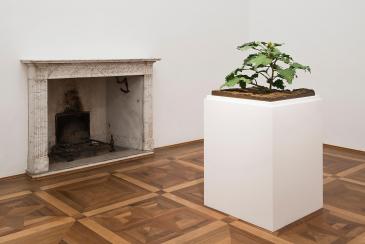 fotografo-arte-varese-villapanza-Paine-Webster-020