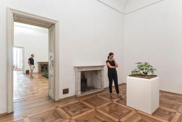 fotografo-arte-varese-villapanza-Paine-Webster-004